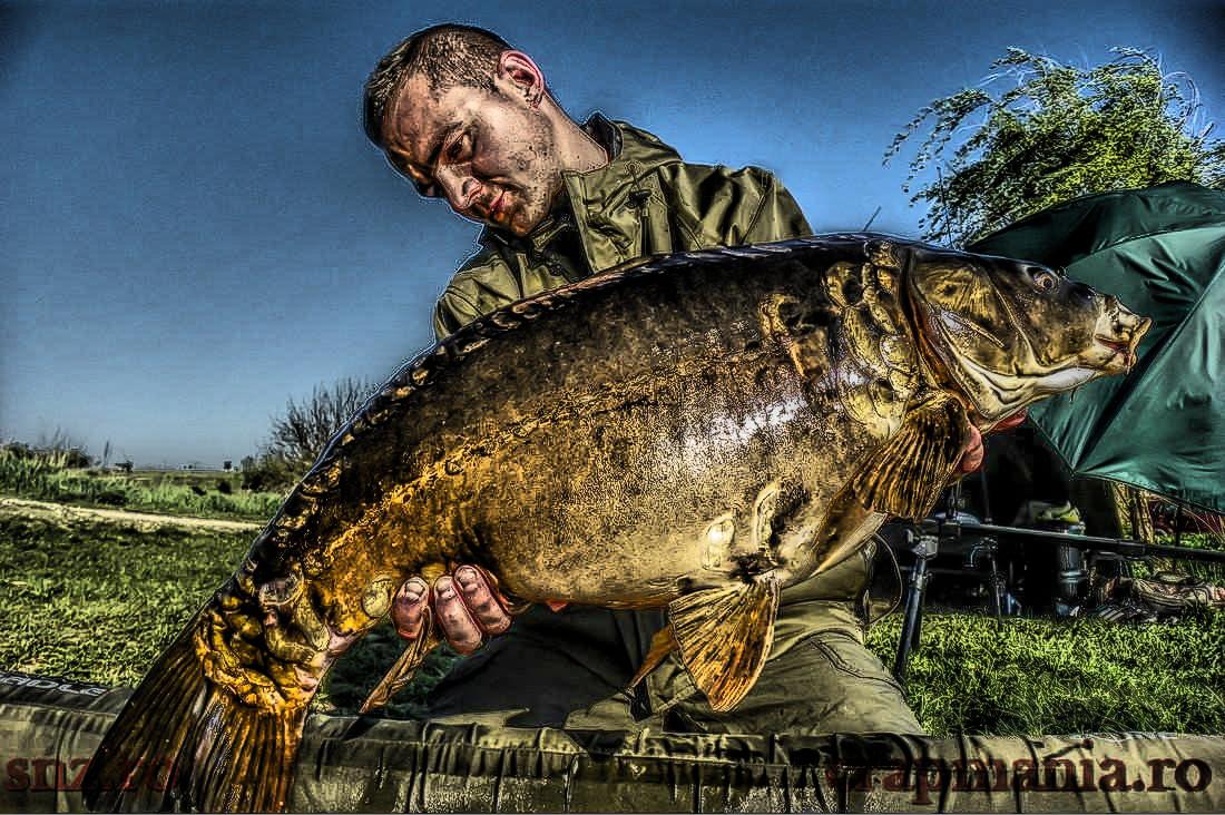 Trofeul Tancabesti - 2013 - 1010268hdrmode2.jpg